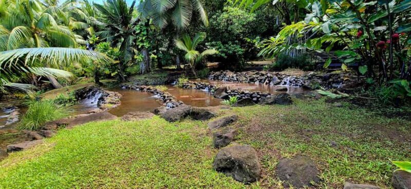 Private Tahiti Island Tour  5.5 Hours - FAQ