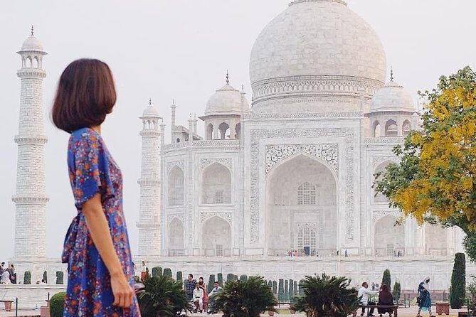 Private Taj Mahal Agra fort Day Trip from Delhi By Car - In-Depth Look at the Tour Experience