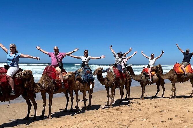 Private Tangier Quad Bike Camel Ride Dinner Show - The Sum Up