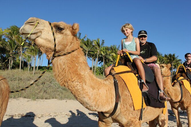 Private Tangier Tour : Culture, Camels, Kasba and Mina walk - FAQs