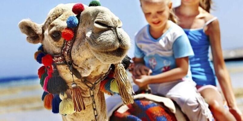 Private Tangier Tour from Gibraltar including Camel & Lunch - Practicalities and Value