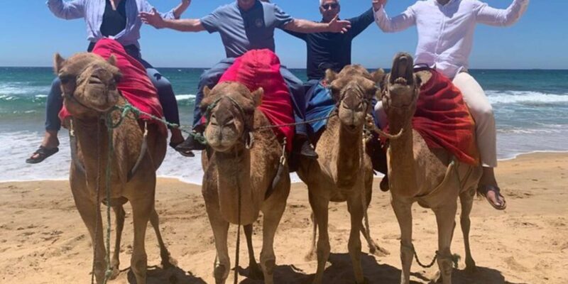 Private Tangier Tour from Gibraltar including Camel & Lunch - What We Loved and What to Consider