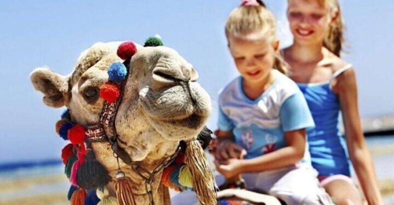 Private Tangier Tour with Lunch and Camel Ride - Final Thoughts