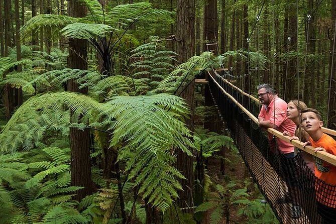 Private Tauranga Day Trip-Rotorua Geysers & Canopy Tree Walk. - Who Will Love This Tour?