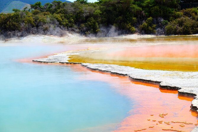 Private Tauranga Day Trip - Rotorua "Whaka Living Mori Village" - Authenticity and Value