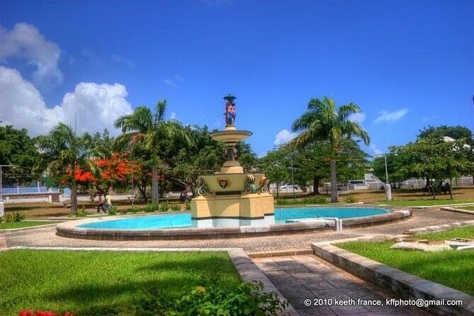 Private taxi to/from Basseterre (Park Hyatt & Cockleshell Beach) - Who Should Book This Experience?