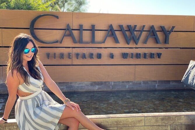 Private Temecula Wine Tour in The Wine Valley - Analyzing the Value: Is It Worth the Price?