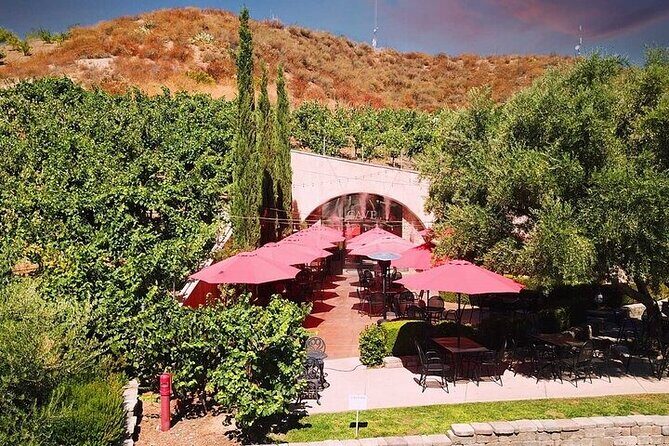 Private Temecula Wine Tour in The Wine Valley - The Sum Up