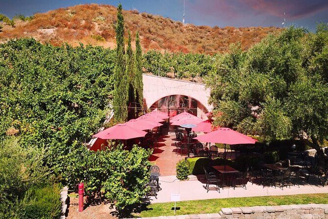 Private Temecula Wine Tour - Old Town Temecula - Is This Tour Worth It?