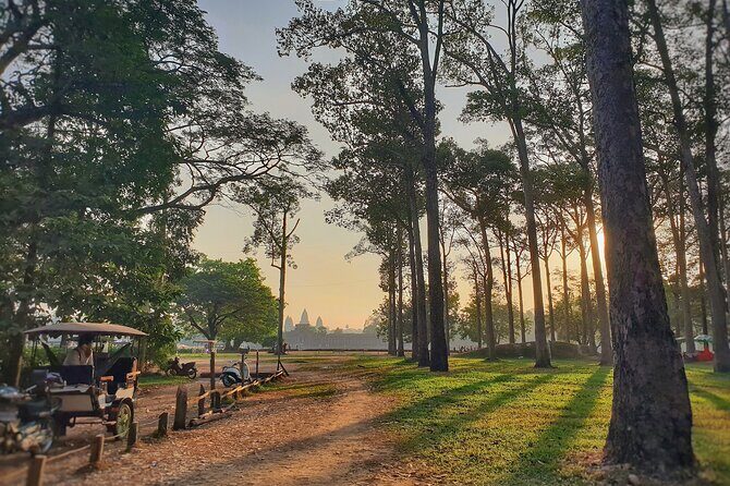 Private Temples Guided Tour (Angkor Wat, Ta Prom & Angkor Thom) - An In-Depth Look at the Tour Itinerary