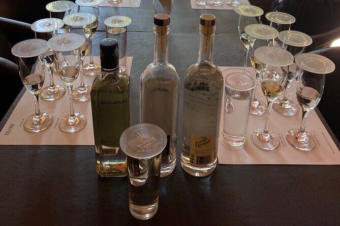 Private Tequila Tour - A Detailed Look at the Private Tequila Tour