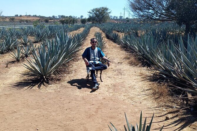 Private Tequila Tour in Guadalajara - Frequently Asked Questions