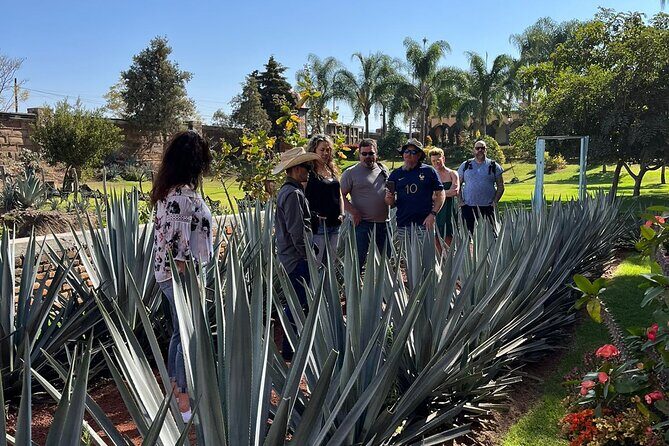 Private Tequila Tour with Local Expert - Authentic Experiences and Authentic Guides