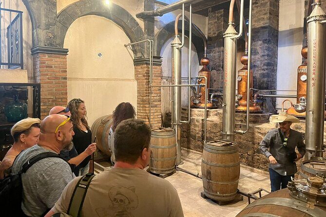 Private Tequila Tour with Local Expert - Why This Tour Is a Great Choice