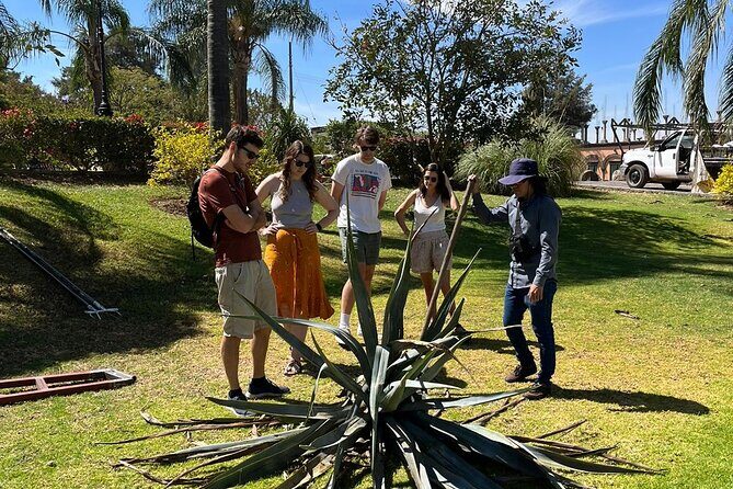 Private Tequila Tour with Local Expert - Who Should Book This Tour?