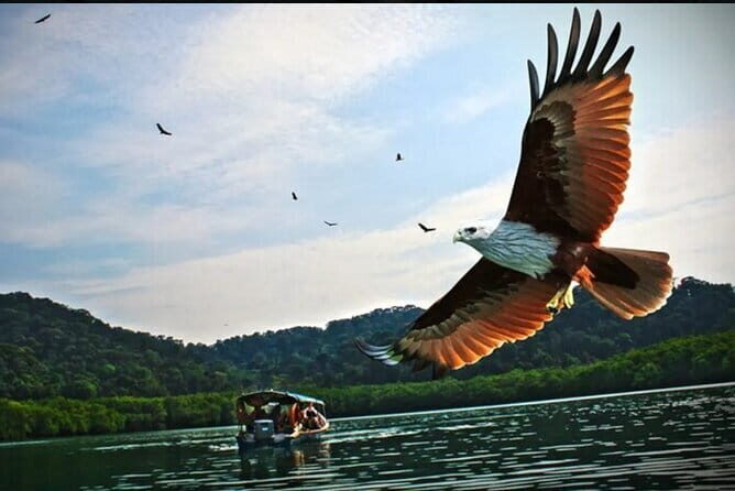 Private Tg Rhu Mangrove Forest Boat Tour With Lunch on A Floating Restaurant - An In-Depth Look at the Private Tg Rhu Mangrove Forest Boat Tour in Langkawi