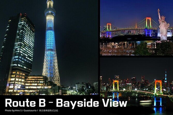 Private Tokyo Night Time Sightseeing Ride 3 Scenic Route Options - A Detailed Look at the Experience