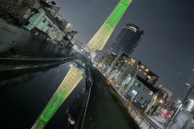 Private Tokyo Night Tour - An Introduction to the Experience