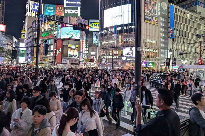 Private Tokyo Night Tour - The Itinerary: What You Can Expect