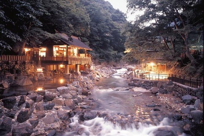 Private Tokyo Tour guide Japanese disco, clubs. Dancing any where translate. - An In-Depth Look: What to Expect from This Private Tokyo Nightlife Tour