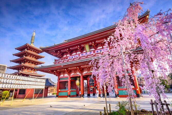 Private Tokyo Tour with English Speaking Guide - The Itinerary: A Walk Through Tokyo’s Heart and Soul