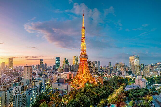 Private Tokyo Tour with English Speaking Guide - Frequently Asked Questions