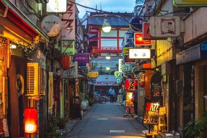 Private Tokyo Tour with English Speaking Guide - Final Thoughts