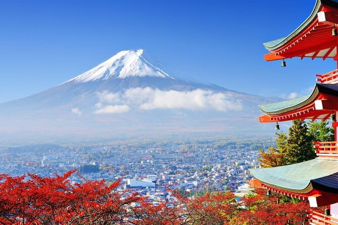 Private Tokyo Tour with Local Guide - Final Thoughts