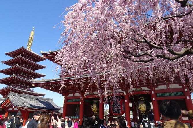 Private Tokyo with Exceptional Guide Tailored to Your Needs - Exploring Tokyo with Personal Touch and Practical Insights