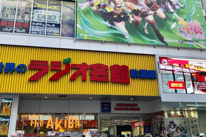 Private Tokyo with Exceptional Guide Tailored to Your Needs - Final Thoughts: Is This Tour Right for You?