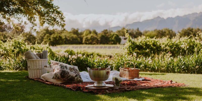 Private Top Award-Winning Cape Wine Tasting Full Day Tour - An In-Depth Look at the Experience