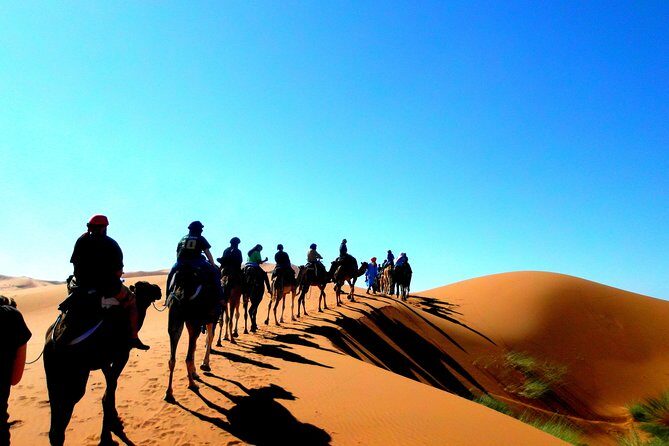 Private Tour 10 Days from Casablanca to Imperial Cities And Sahara Desert - Starting Strong in Casablanca & Rabat