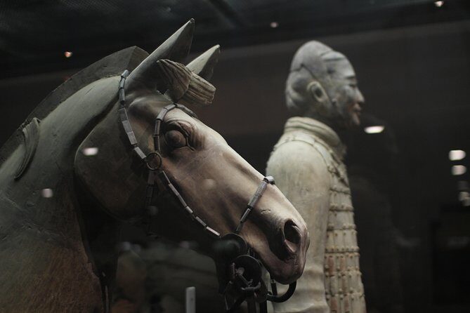 Private Tour: 2-Day/3-Day Xi'an Round-Trip from Shanghai by Air - Why This Tour Offers Good Value