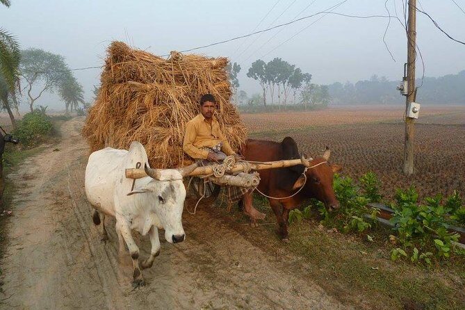 Private Tour: 4 Days - Bangladesh Life & Cultural Tour - The Ganges Delta Life - Who should consider this tour?