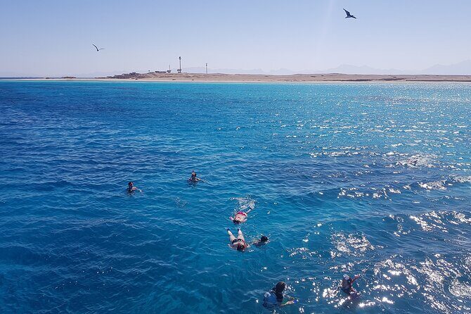 PRIVATE TOUR ! 4-Hours Swiming with dolphins, snorkeling, island by speed boat - Who Would Love This Tour?