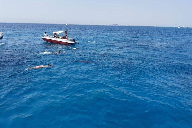 PRIVATE TOUR ! 4-Hours Swiming with dolphins, snorkeling, island by speed boat - The Sum Up