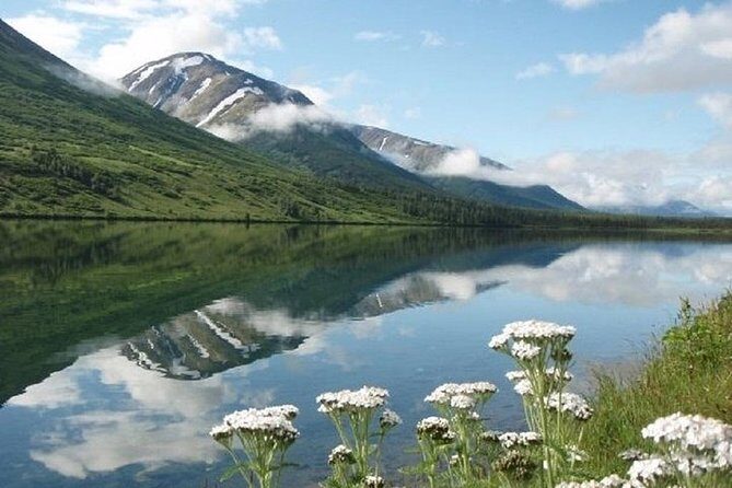 Private Tour: Anchorage 3-Hour Tour - A Detailed Look at the Itinerary