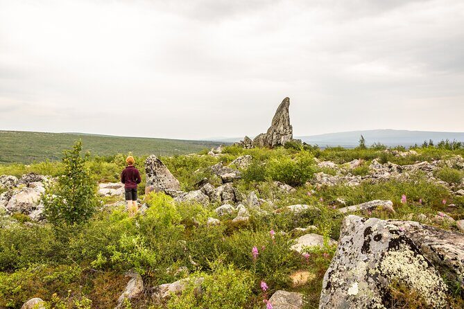 Private Tour Arctic Circle Expedition from Fairbanks - Key Points