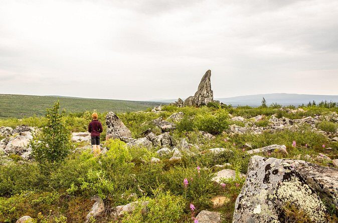 Private Tour Arctic Circle Expedition from Fairbanks - FAQs about the Arctic Circle Private Tour from Fairbanks