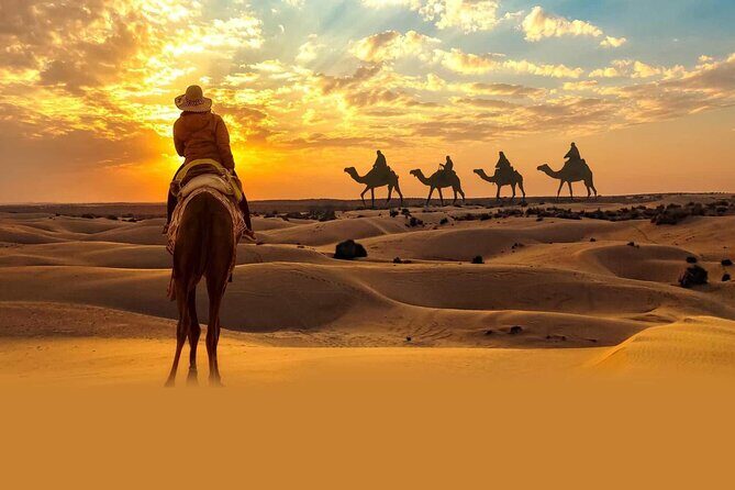 Private Tour at Desert Safari With Camel Ride & BBQ Dinner - Exploring the Itinerary in Detail