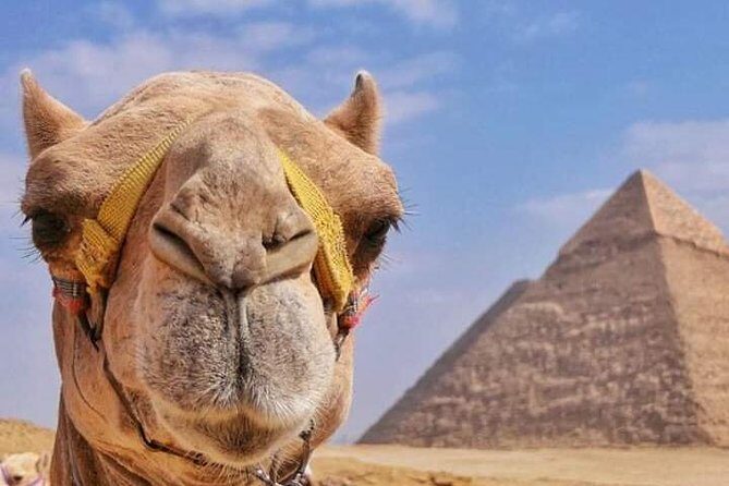 Private Tour at Giza Pyramids & Sphinx - What You’ll See and Experience