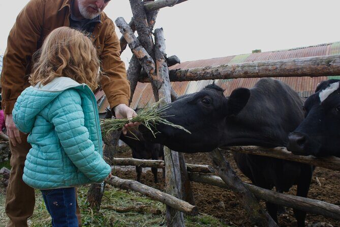 Private Tour at Historic Alaska Dairy Farm - An Overview of the Alaska Dairy Farm Tour
