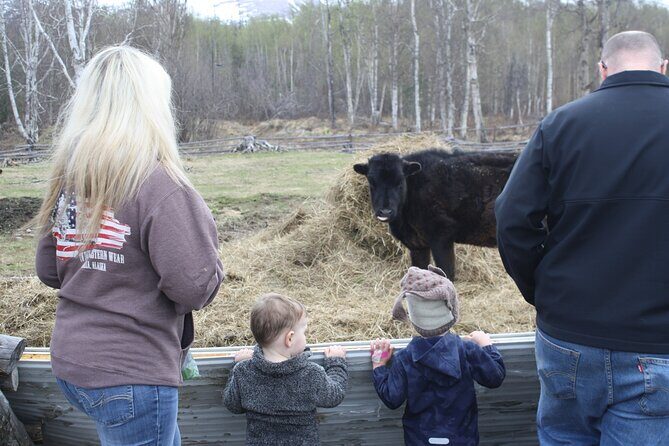 Private Tour at Historic Alaska Dairy Farm - Analyzing the Value