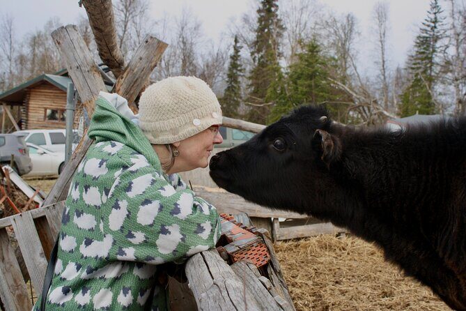 Private Tour at Historic Alaska Dairy Farm - The Sum Up