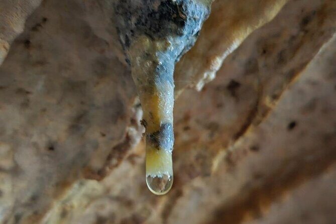 Private Tour at Naracoorte Caves - Practical Details and Value