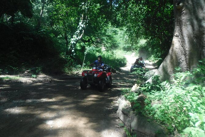 Private Tour: ATV SIERRA MADRE rivers with Tequila Tasting - Is It Worth the Price?