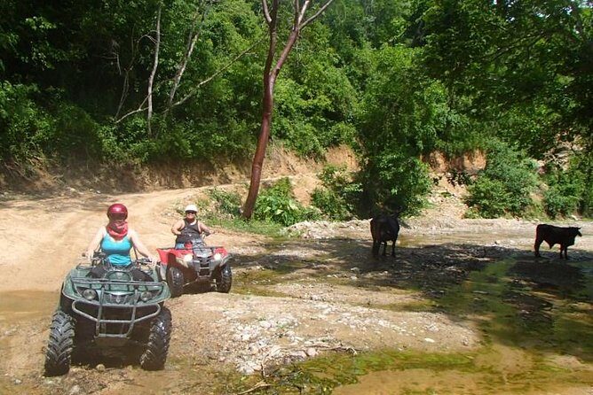 Private Tour: ATV SIERRA MADRE rivers with Tequila Tasting - Frequently Asked Questions (FAQs)