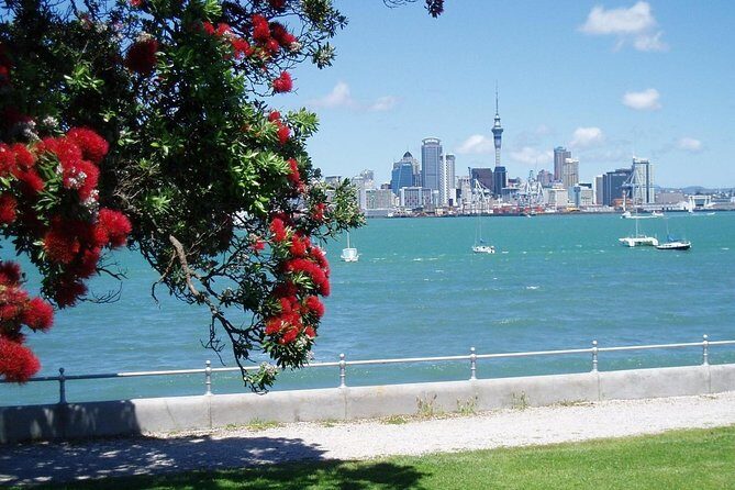 Private Tour: Auckland City and Countryside Tour - Final Thoughts on Value and Suitability