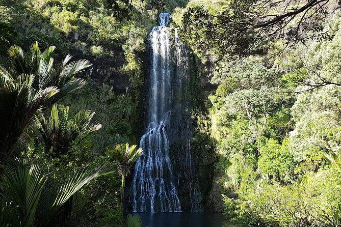 Private Tour: Auckland City and Countryside Tour - Final Words