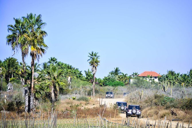 Private Tour Baja Jeep 4x4 Adventure at Los Cabos - Frequently Asked Questions